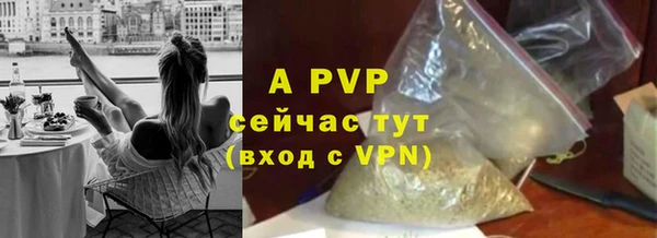 PSILOCYBIN Абаза