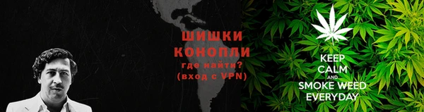 PSILOCYBIN Абаза