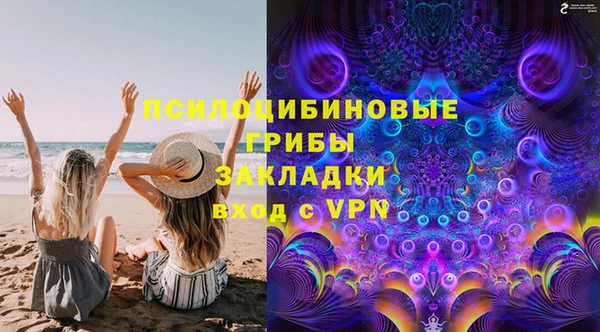 PSILOCYBIN Абаза