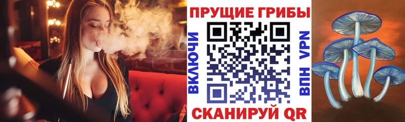 где найти   Шимановск  Псилоцибиновые грибы ЛСД 